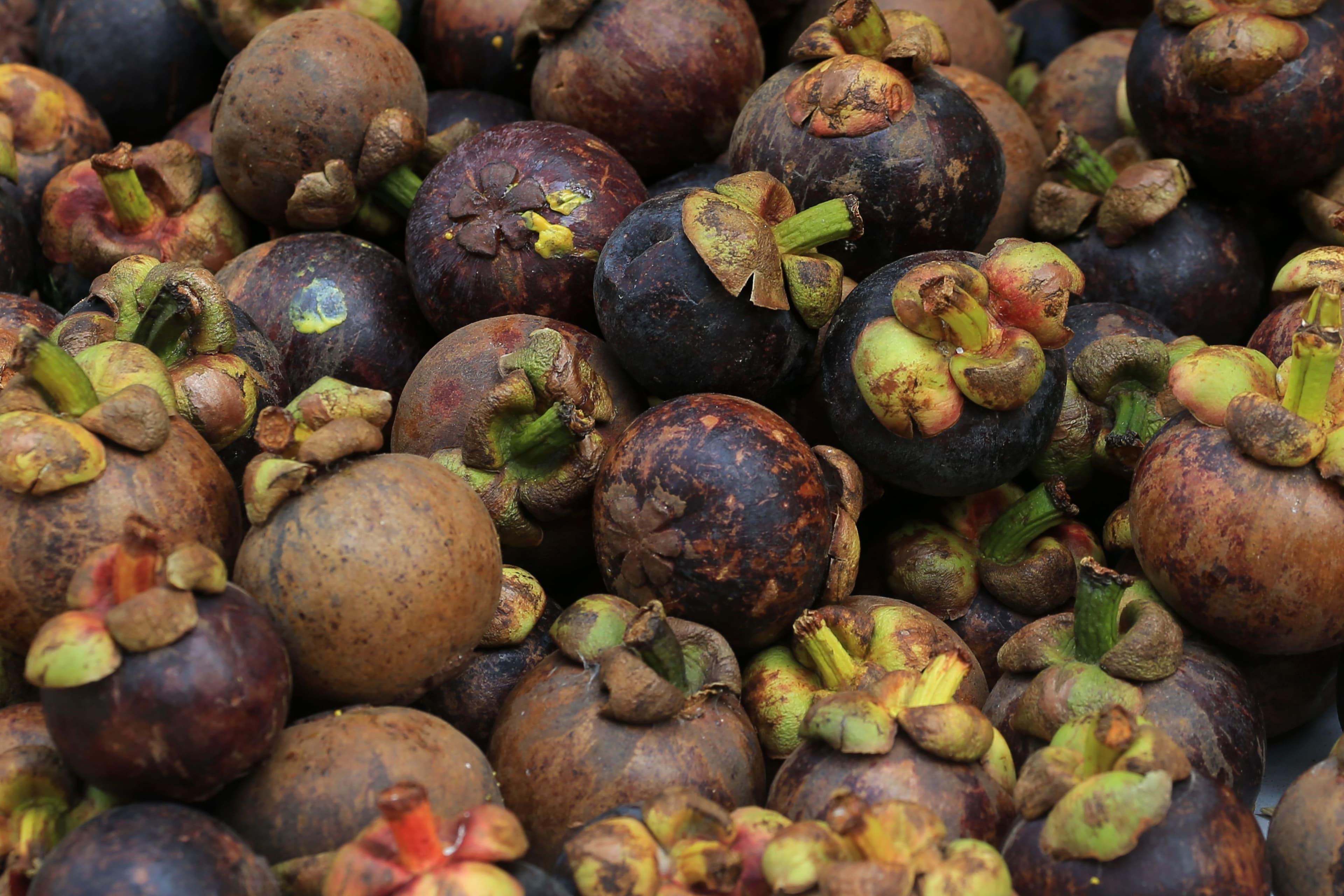 A close-up pile of fresh purple mangosteen fruits.