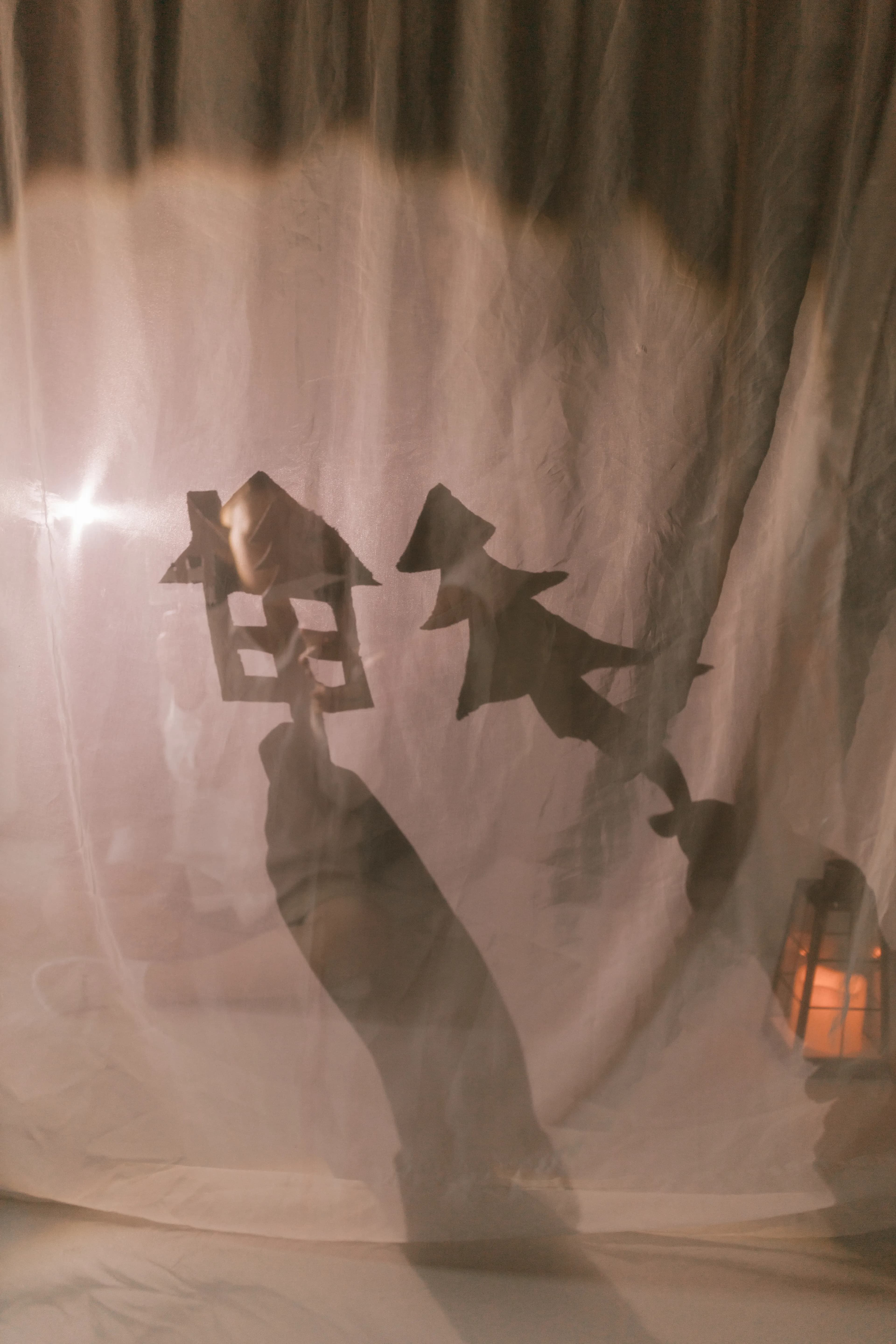 Shadow puppets cast on a backlit curtain.